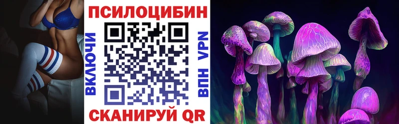 Псилоцибиновые грибы Cubensis  Бокситогорск 